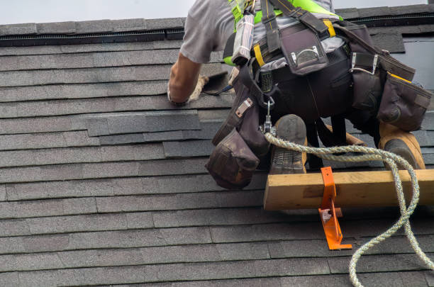 Best Residential Vinyl Siding Installation  in Tignall, GA