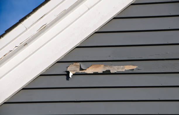 Best Siding for New Construction  in Tignall, GA
